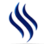 thesimplesuccesssystem.com-logo